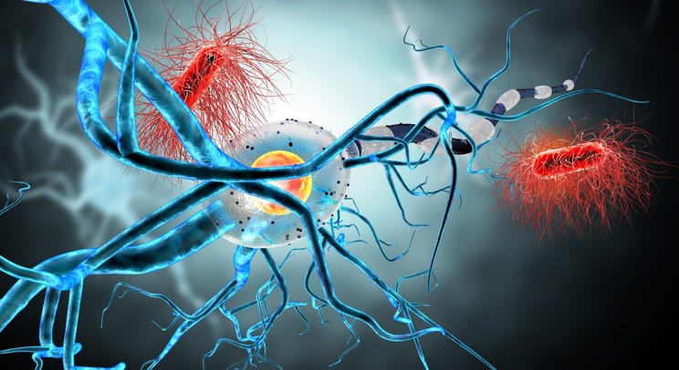 Human Lifestyle Cyclic changes